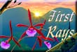 First Rays LLC