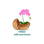 BASIC ORCHID GROWING GUIDE