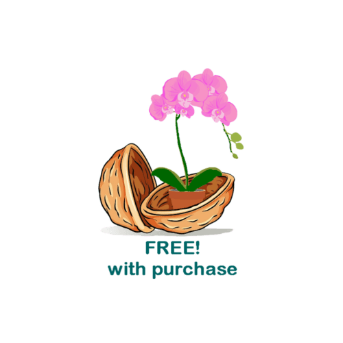 BASIC ORCHID GROWING GUIDE