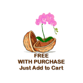 Orchids_Nutshell_FreeATC ORCHID GROWING GUIDE - WHY to do things, not just WHAT to do