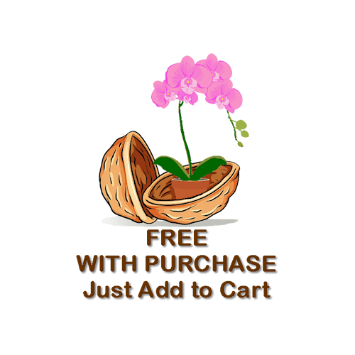 ORCHID GROWING GUIDE - WHY TO DO THINGS, NOT JUST WHAT TO DO